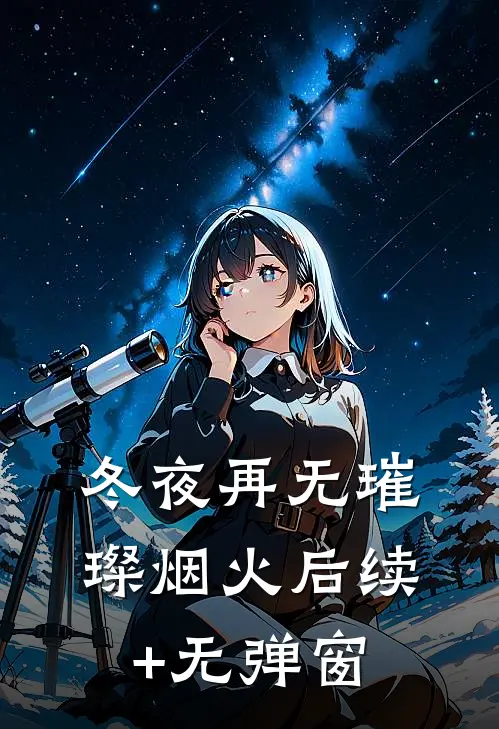 冬夜再无璀璨烟火后续+无弹窗
