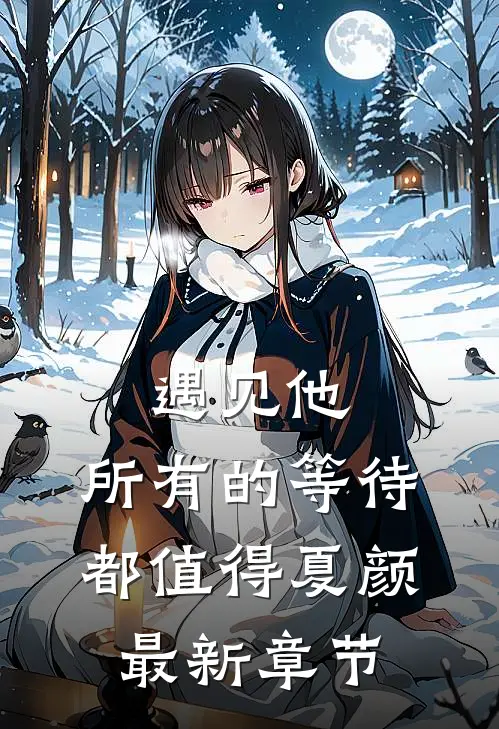 遇见他，所有的等待都值得夏颜最新章节