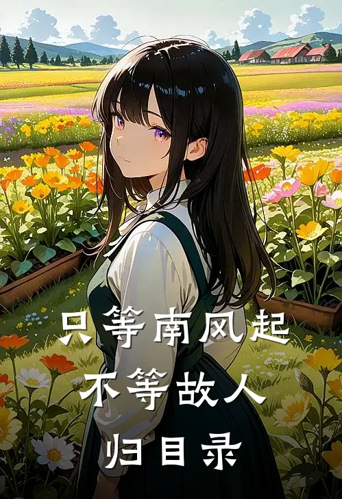 只等南风起，不等故人归目录