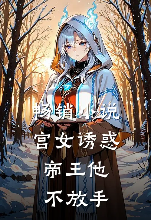 畅销小说宫女诱惑，帝王他不放手