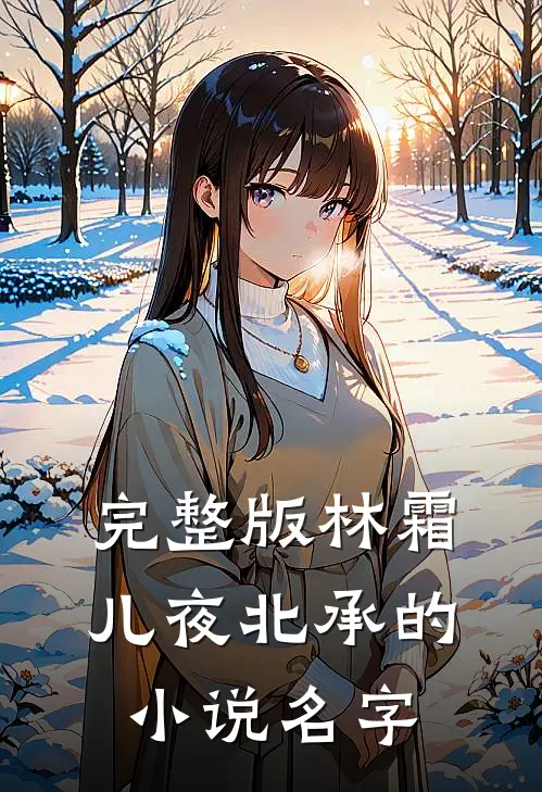 完整版林霜儿夜北承的小说名字
