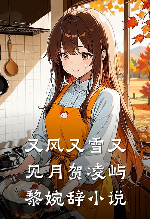 又风又雪又见月贺凌屿黎婉辞小说