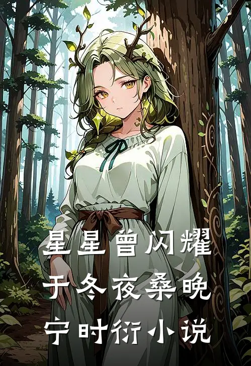 星星曾闪耀于冬夜桑晚宁时衍小说