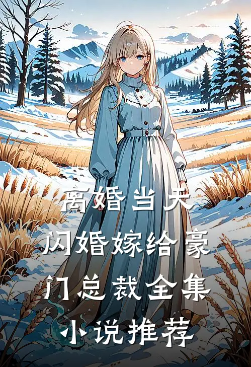 离婚当天，闪婚嫁给豪门总裁全集小说推荐
