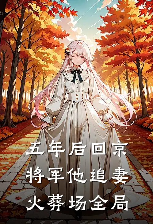 五年后回京，将军他追妻火葬场全局