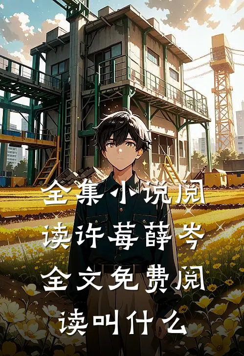 全集小说阅读许莓薛岑全文免费阅读叫什么
