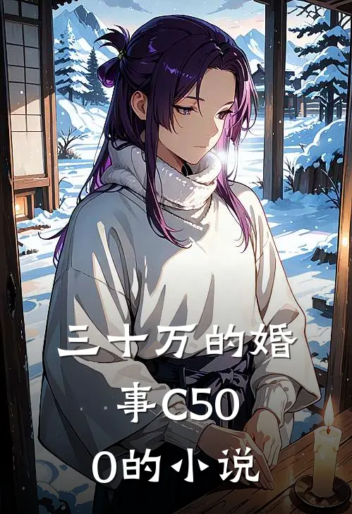 三十万的婚事C500的小说