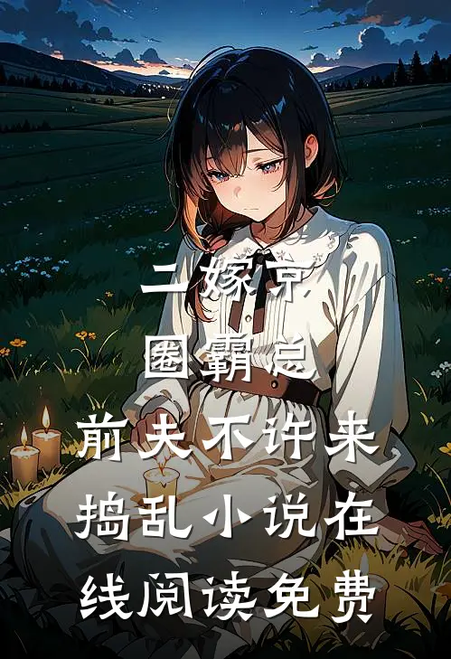 二嫁京圈霸总，前夫不许来捣乱小说在线阅读免费