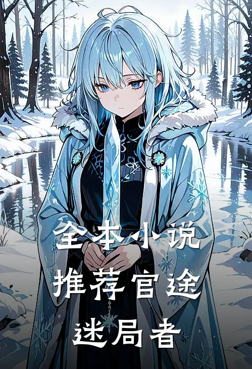 全本小说推荐官途：迷局者