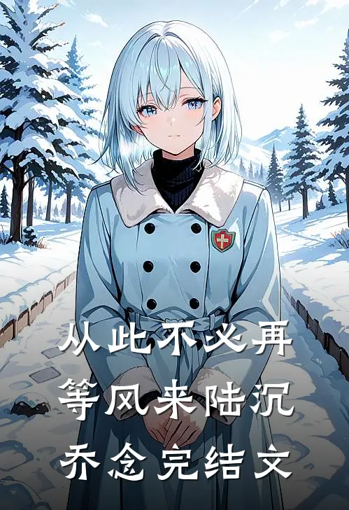 从此不必再等风来陆沉乔念完结文