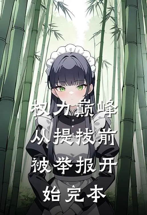 权力巅峰：从提拔前被举报开始完本