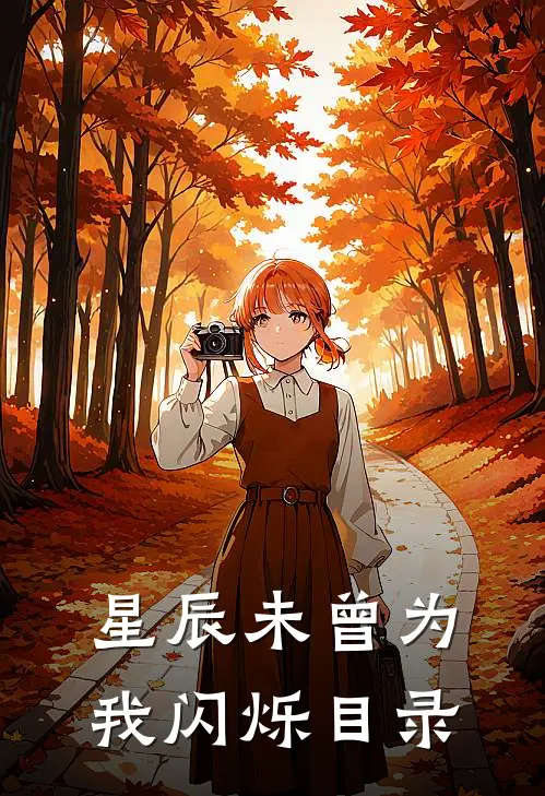 星辰未曾为我闪烁目录
