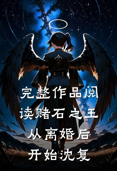 完整作品阅读赌石之王从离婚后开始沈复