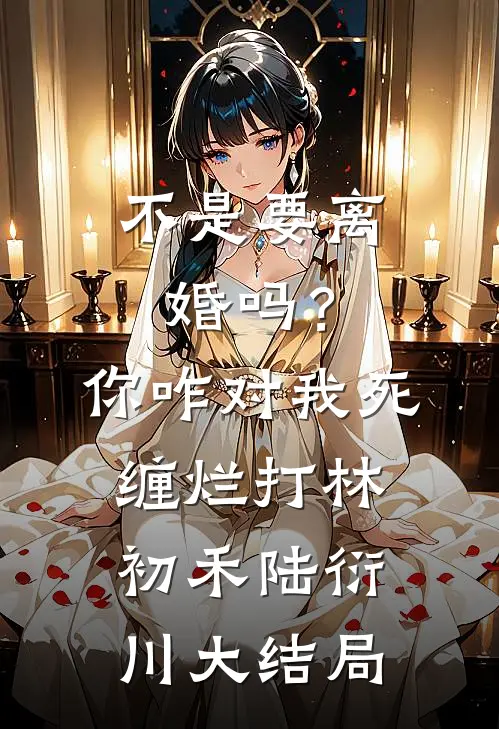 不是要离婚吗？你咋对我死缠烂打林初禾陆衍川大结局