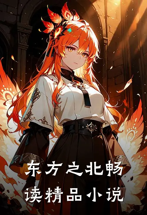 东方之北畅读精品小说