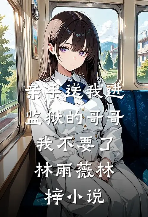 亲手送我进监狱的哥哥，我不要了林雨薇林梓小说