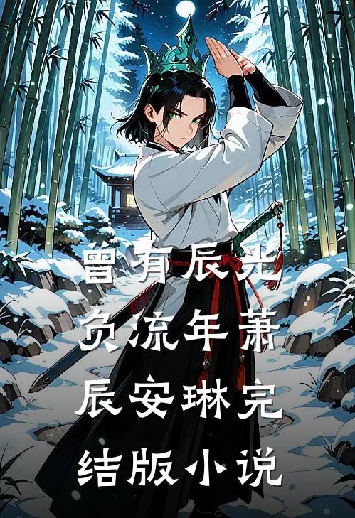 曾有辰光负流年萧辰安琳完结版小说