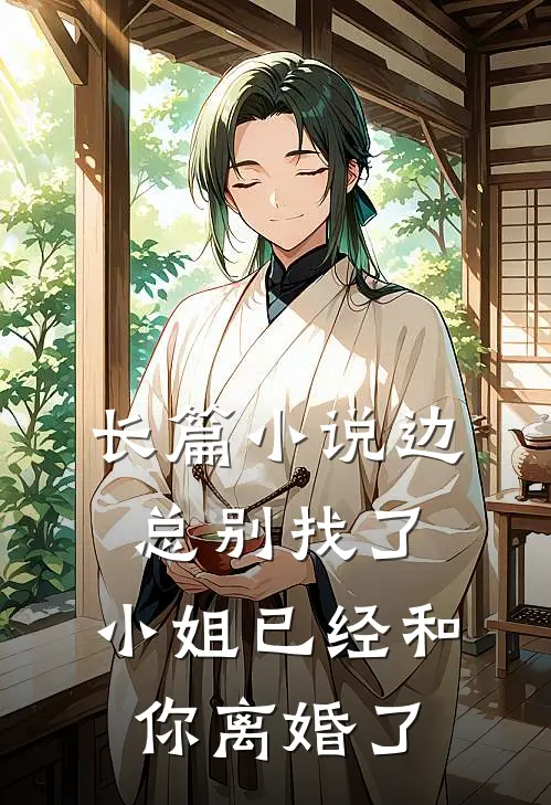长篇小说边总别找了，小姐已经和你离婚了