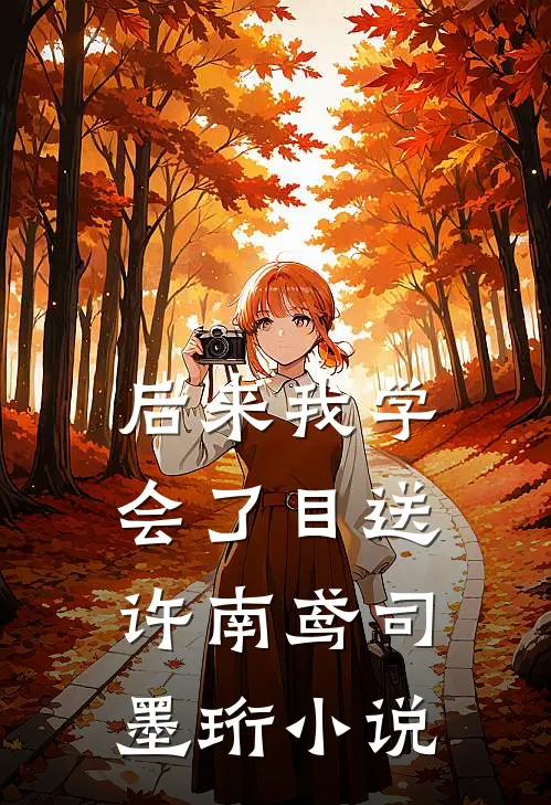 后来我学会了目送许南鸢司墨珩小说