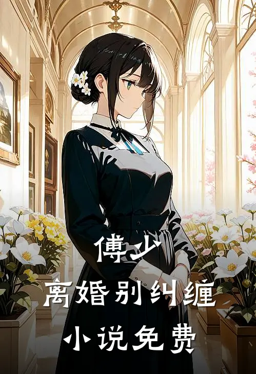 傅少，离婚别纠缠小说免费