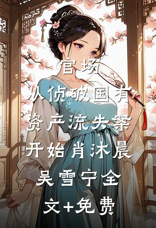 官场：从侦破国有资产流失案开始肖沐晨吴雪宁全文+免费