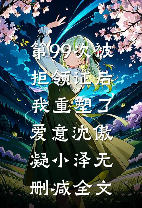 第99次被拒领证后，我重塑了爱意沈傲凝小泽无删减全文