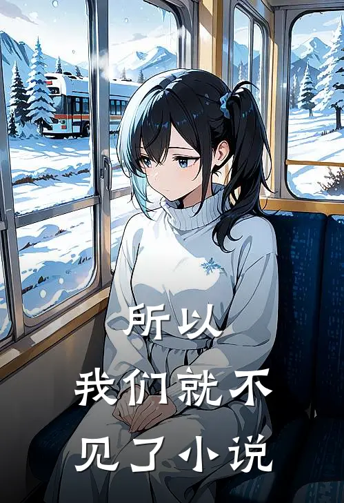 所以，我们就不见了小说