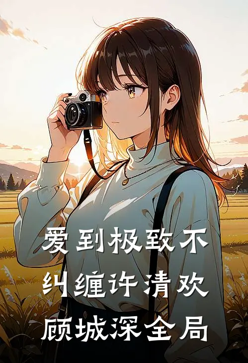 爱到极致不纠缠许清欢顾城深全局