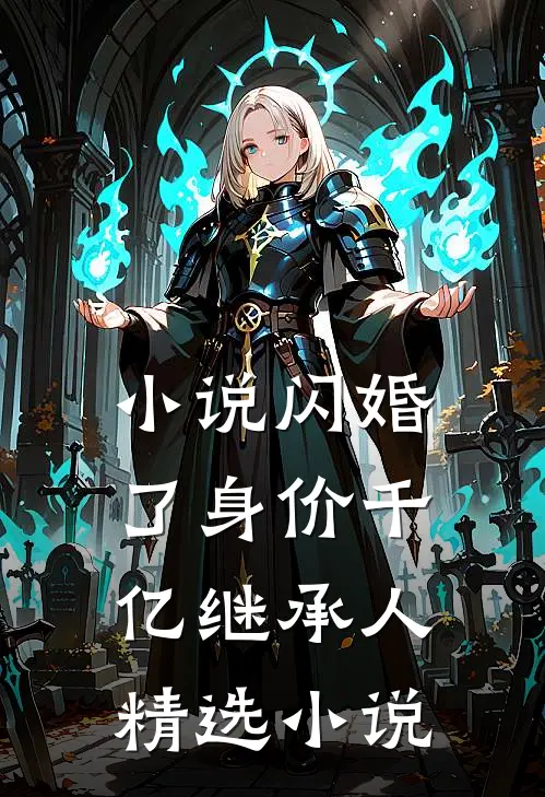 小说闪婚了身价千亿继承人精选小说