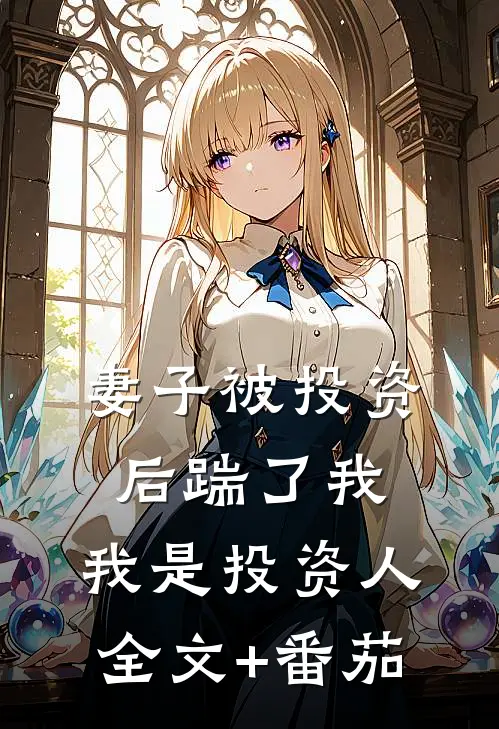 妻子被投资后踹了我，我是投资人全文+番茄