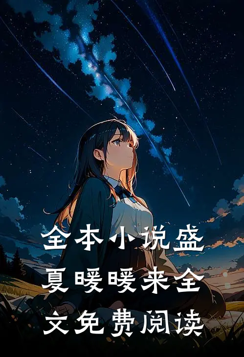 全本小说盛夏暖暖来全文免费阅读