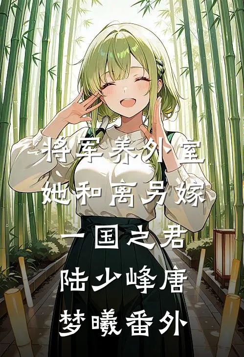 将军养外室，她和离另嫁一国之君陆少峰唐梦曦 番外