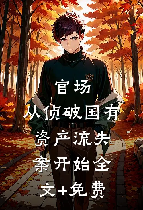 官场：从侦破国有资产流失案开始全文+免费