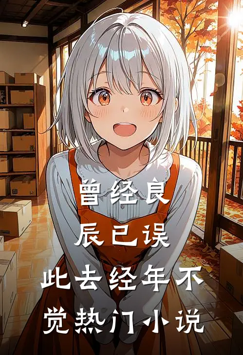 曾经良辰已误，此去经年不觉热门小说