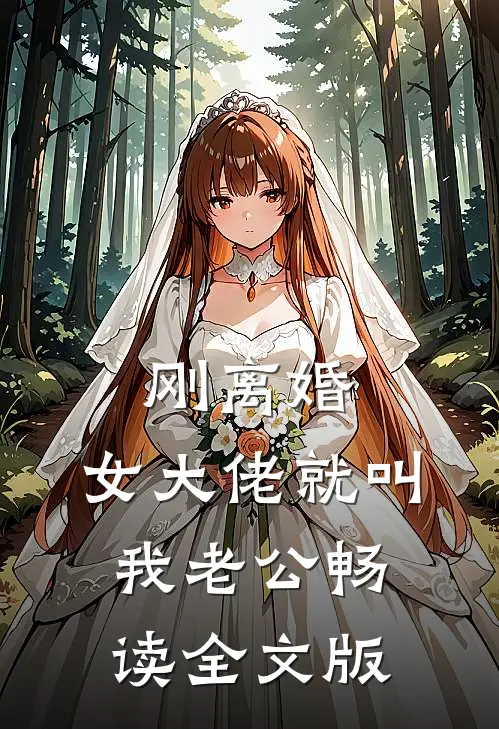 刚离婚，女大佬就叫我老公畅读全文版