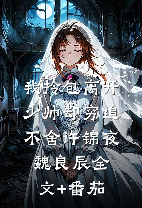 我拎包离开，少帅却穷追不舍许锦夜魏良辰全文+番茄