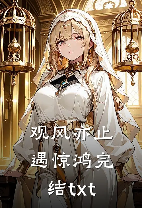 观风亦止遇惊鸿完结txt