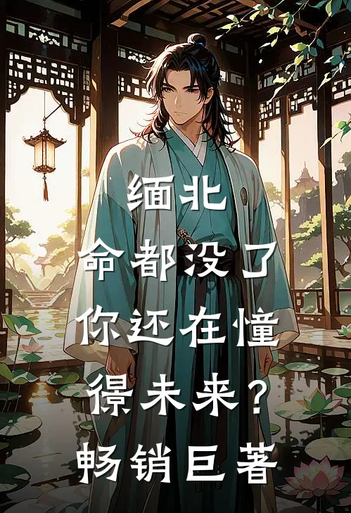 缅北：命都没了，你还在憧憬未来？畅销巨著