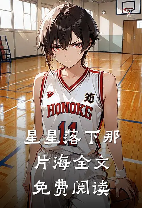 星星落下那片海全文免费阅读
