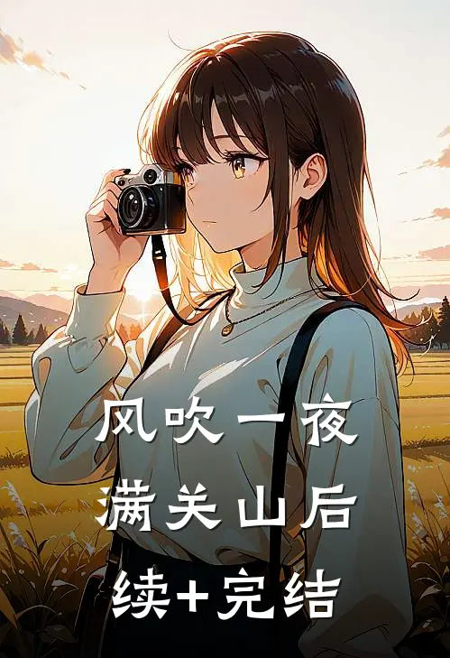 风吹一夜满关山后续+完结