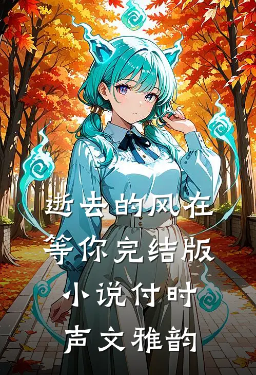 逝去的风在等你完结版小说付时声文雅韵
