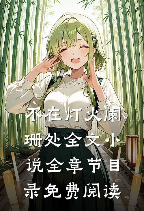不在灯火阑珊处全文小说全章节目录免费阅读