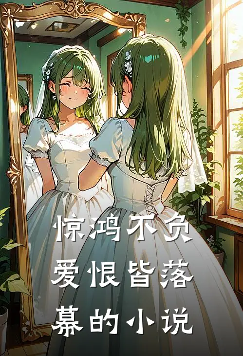 惊鸿不负，爱恨皆落幕的小说