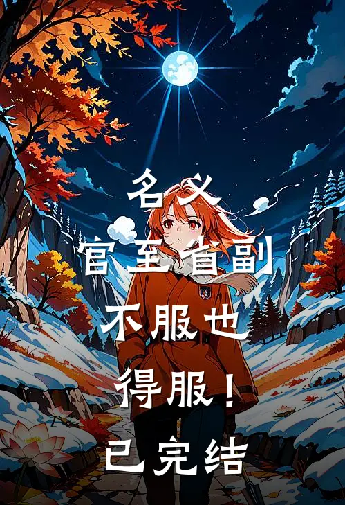 名义：官至省副，不服也得服！已完结