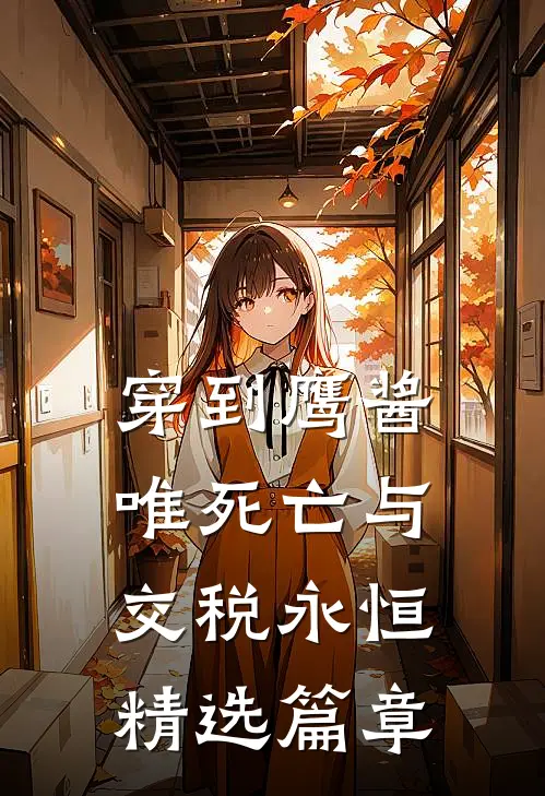 穿到鹰酱，唯死亡与交税永恒精选篇章