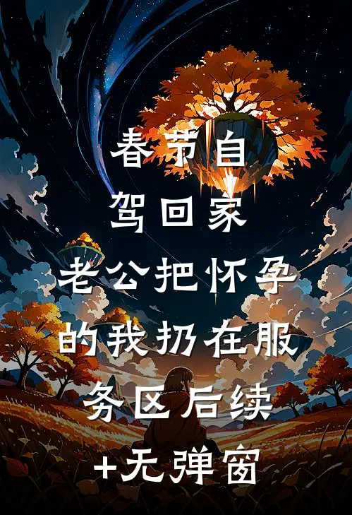 春节自驾回家，老公把怀孕的我扔在服务区后续+无弹窗