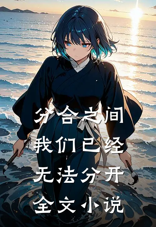 分合之间：我们已经无法分开全文小说