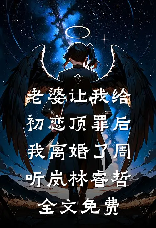 老婆让我给初恋顶罪后，我离婚了周听岚林睿哲全文免费