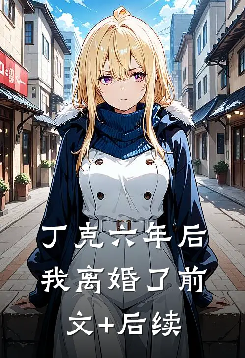 丁克六年后，我离婚了前文+后续