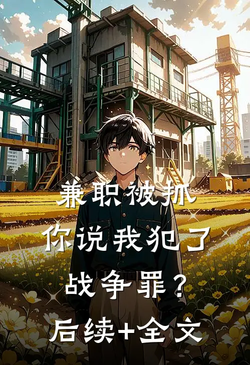 兼职被抓，你说我犯了战争罪？后续+全文